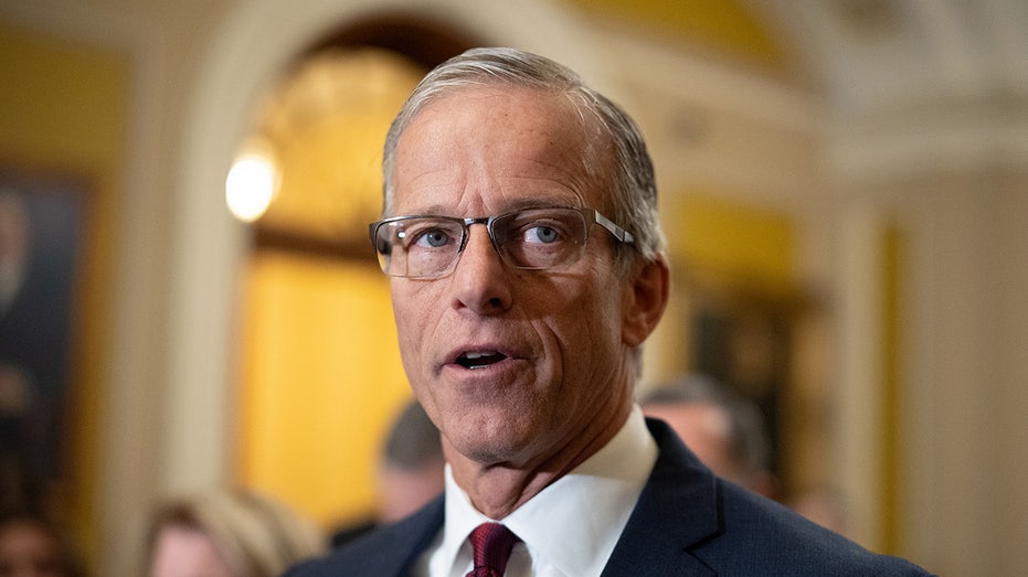 Meet Leader John Thune's all-star cabinet as Republicans take over Senate majority