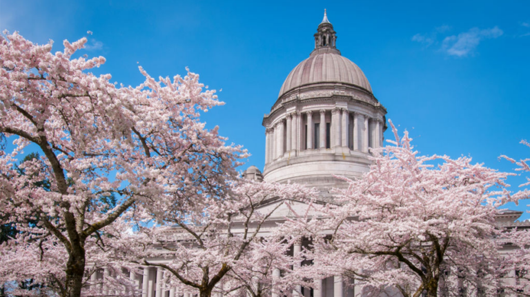 Washington state Democrats accidentally email their 'radical' tax plan to entire Senate