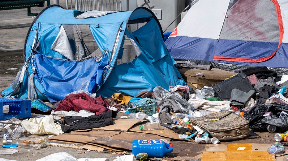 California city passes sweeping homeless encampment ban on all public property