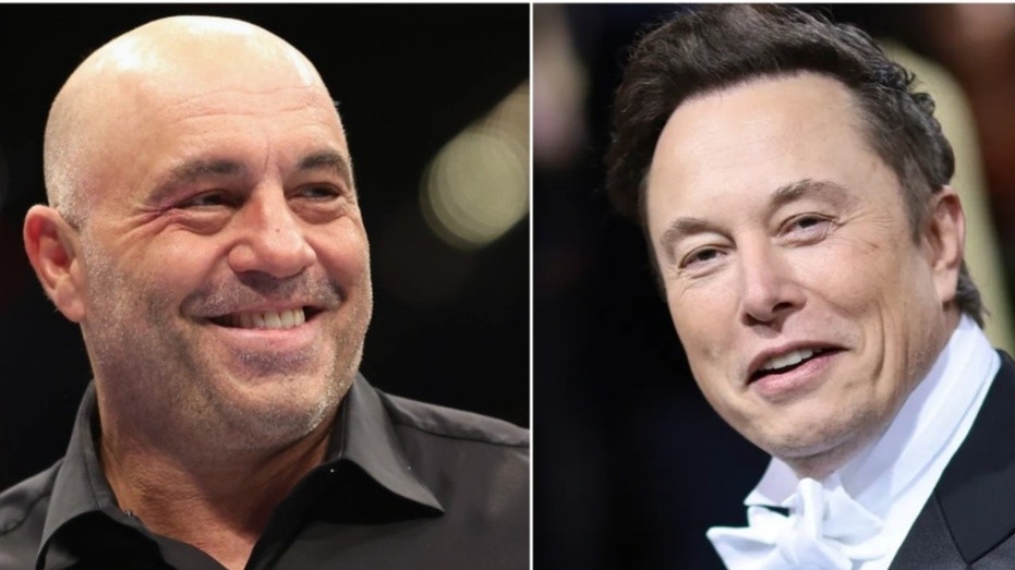 Joe Rogan says 'nitwits' in government 'f---ed up' by locking horns with Elon Musk