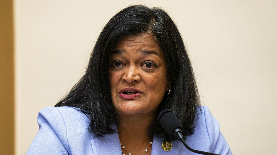 Jayapal slammed for telling Americans to 'think about who picked' their food in anti-deportation remarks