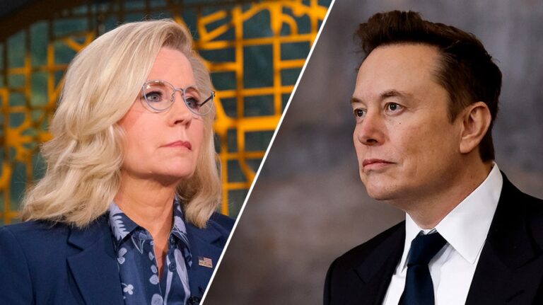 Liz Cheney to Elon Musk regarding her past work at USAID: 'Damn Right'