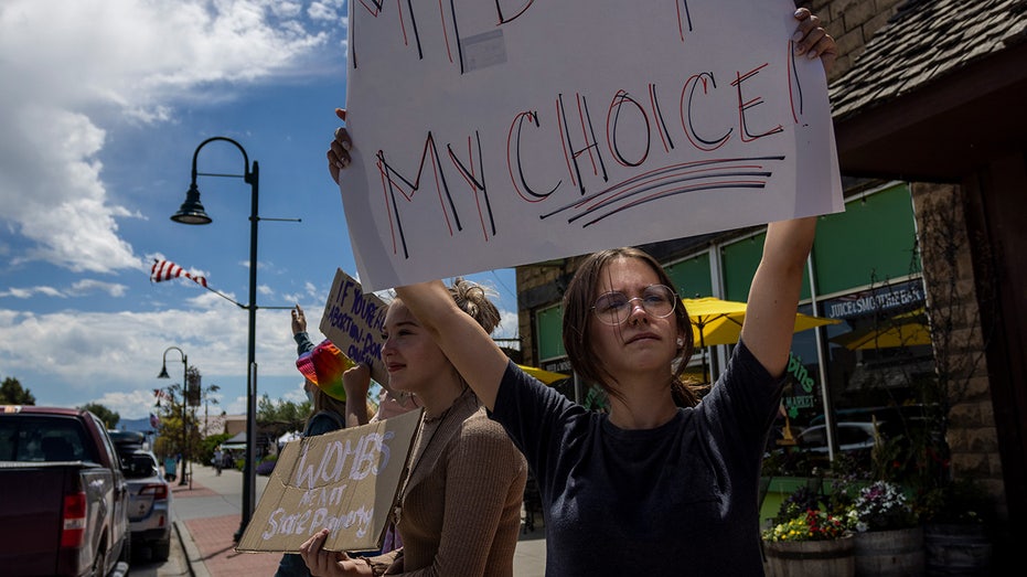 Dem state lawmaker says she underwent 'voluntarily sterilization' to prevent pregnancy in 'Trump's America'