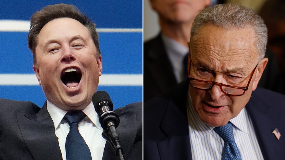 Elon Musk dunks on Sen Chuck Schumer, declaring 'Hysterical reactions' demonstrate DOGE's importance