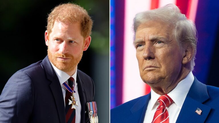 Prince Harry warned to keep head down after President Trump suggests he's safe from deportation: experts