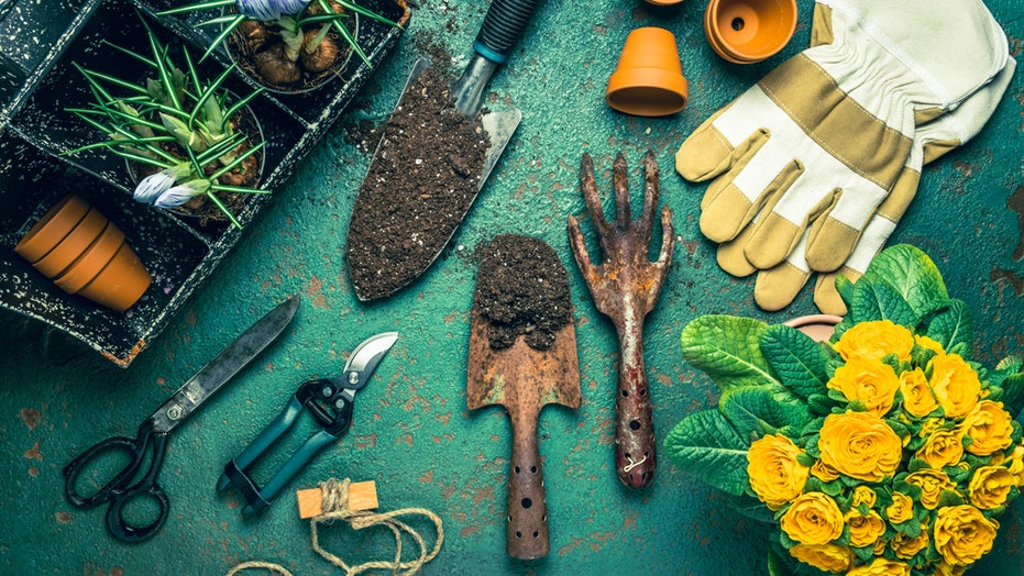 Already thinking about spring? These 10 garden items can help you prepare