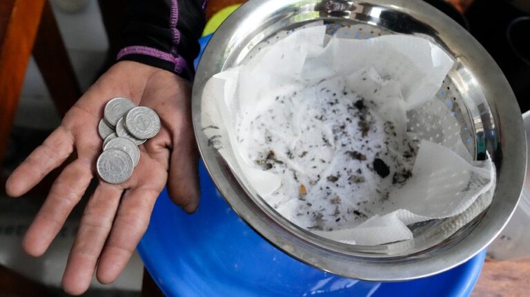 Philippine village offers cash for mosquitos amid dengue outbreak