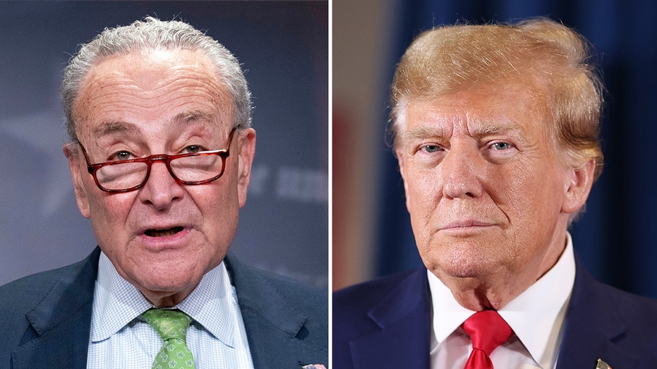 Dems claim Trump tariff could 'drive up' costs despite deflecting blame from Biden's inflation