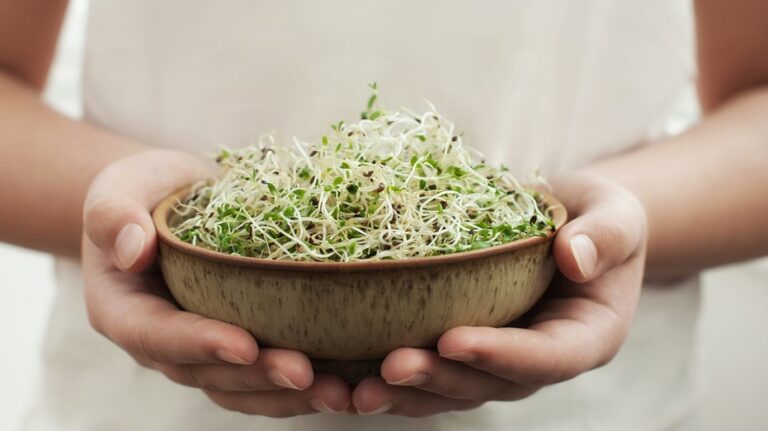 Alfalfa sprouts recalled due to potential listeria contamination