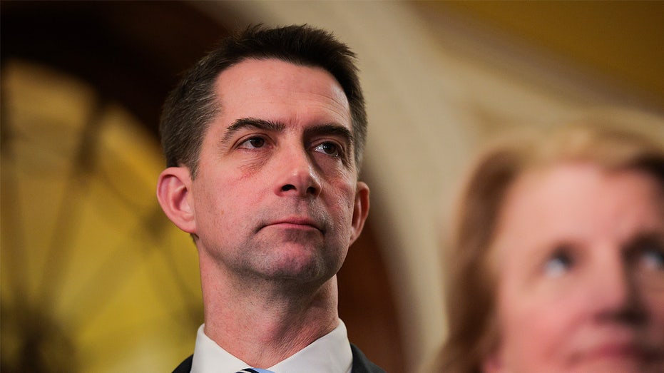 Top Intel Republican Tom Cotton seeking re-election to Senate in 2026