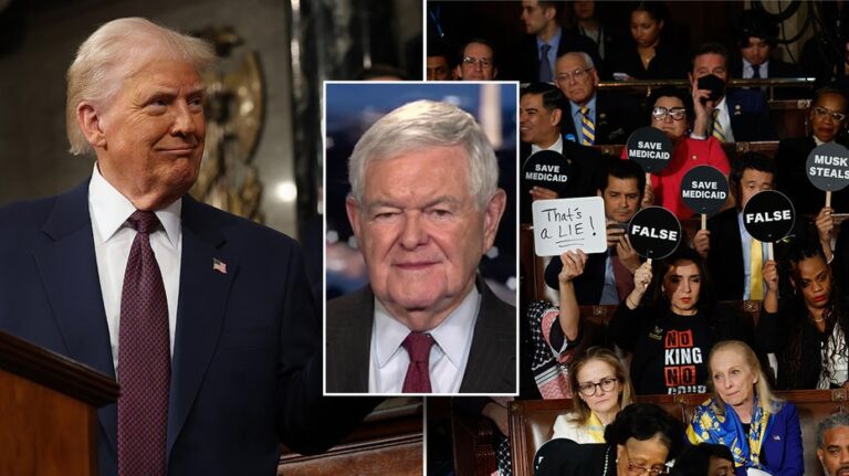 Gingrich warns of 'very dangerous' consequences as Democrats ramp up resistance to Trump, Musk