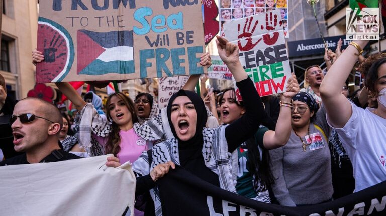 Anti-Israel Ivy League student in US on visa being urged by ICE to surrender: court docs
