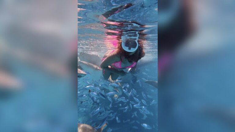 Sharks surround snorkeling tourist during wild encounter: 'They looked terrifying'