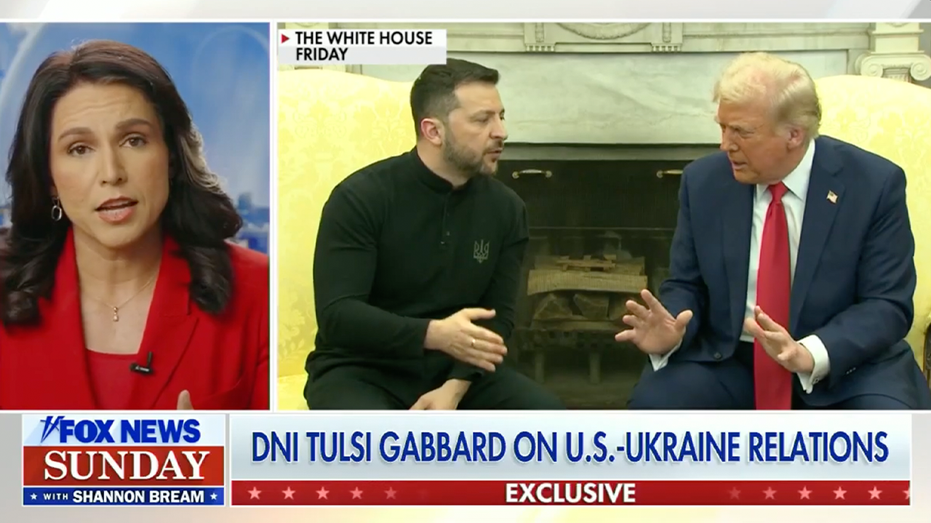 DNI Gabbard sounds off on Europe's 'divergence' from U.S. values after tense Trump-Zelenskyy meeting