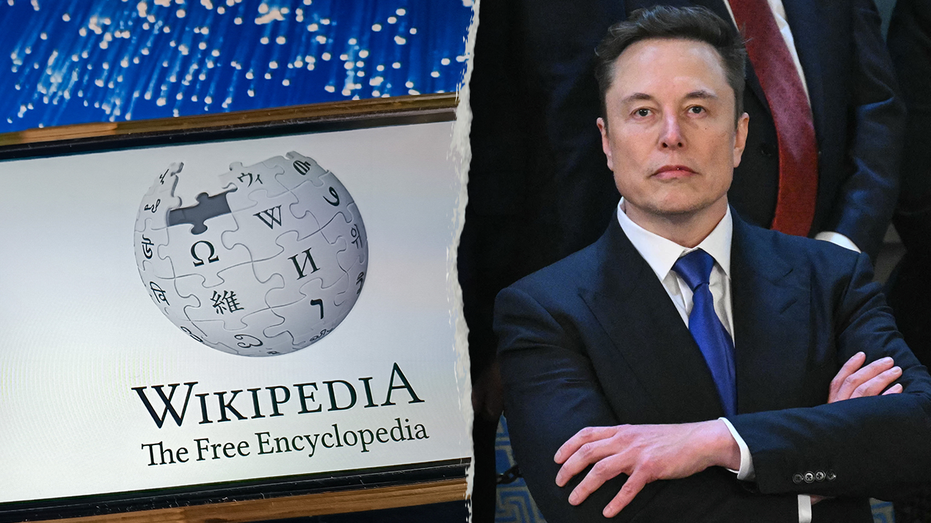 Wikipedia co-founder calls on Elon Musk to investigate government influence over online encyclopedia