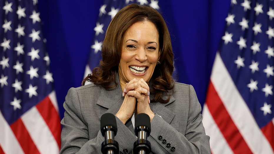 Ex-VP Harris returns to politics to headline DNC fundraiser with tickets starting at $25,000