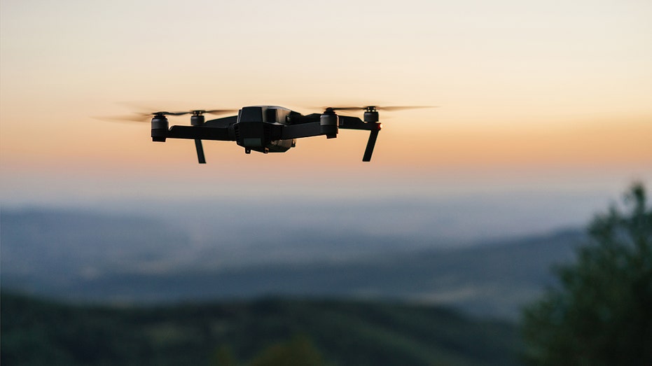Florida property owners pestered by spying drones could soon be allowed to fight back with 'force'