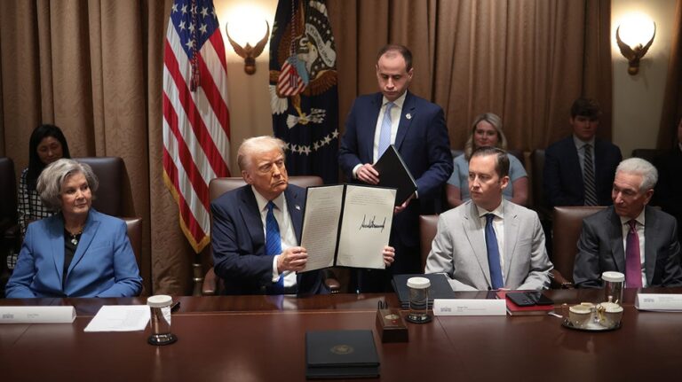 Top Dems sue Trump over executive order requiring proof of citizenship in federal elections