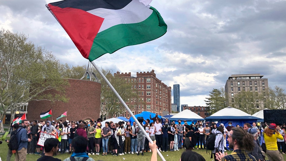 Former Biden diplomat says there's 'no question' that 'free Palestine' slogan has become a call for violence