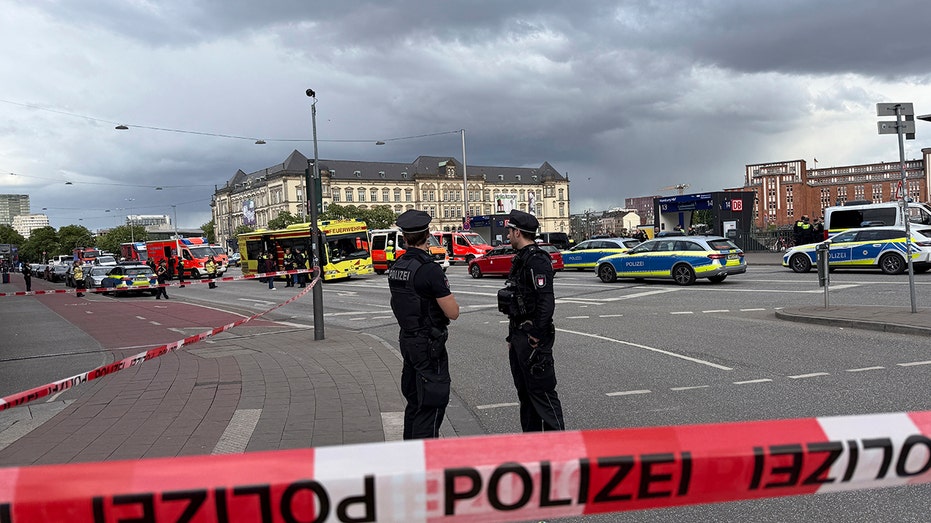 Police confirm 18 stabbed by woman at Hamburg train station in Germany, homicide squad investigating