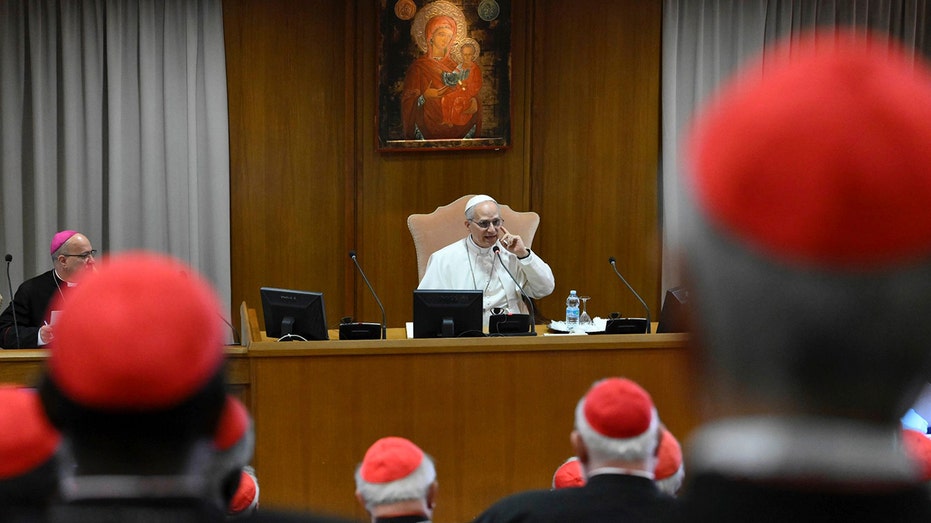 Pope Leo XIV calls this a challenge to 'human dignity' in first address to cardinals
