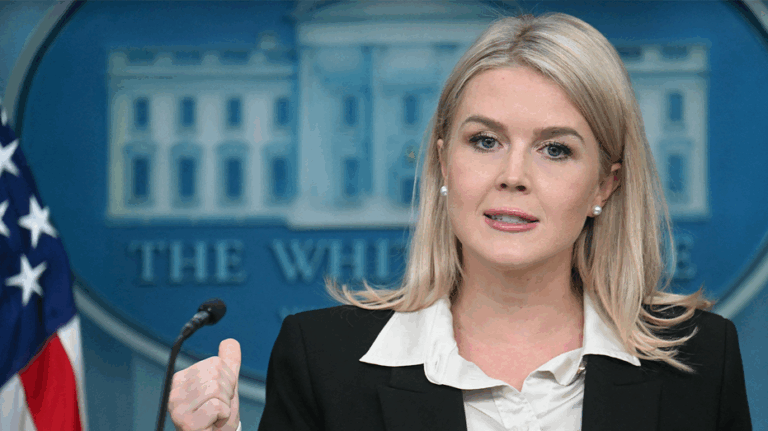 Trump has not directed administration to declassify Biden documents on health 'cover-up'