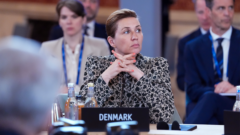 Denmark PM says 'you cannot spy against an ally' following reports of US spying on Greenland