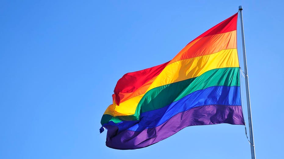 Ohio bill to establish 'Natural Family Month' faces backlash from LGBTQ parents