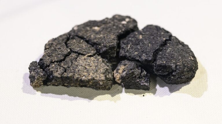 Archaeologists unearth ancient bread that survived underground for 5,000 years