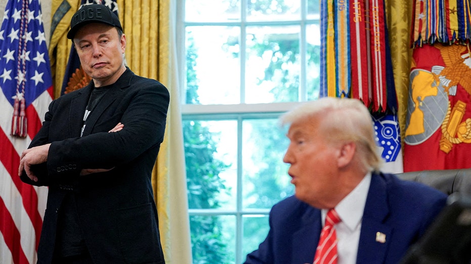 Democratic lawmaker looks forward to Elon Musk 'turning his fire against MAGA Republicans' in 2026 midterms