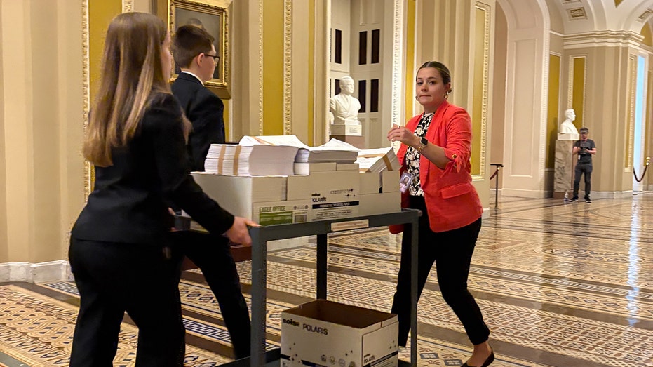 Americans weigh in on Trump's 'big, beautiful bill': polls