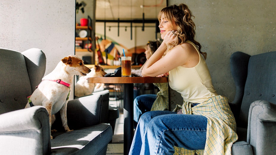 Man confronts woman with forbidden dog inside coffee shop, sparking heated debate