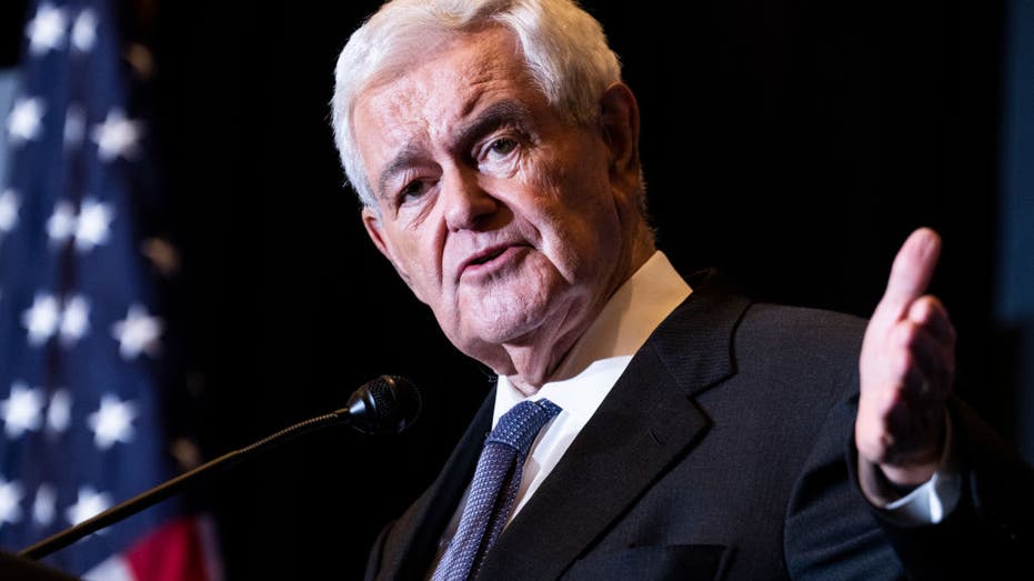 Gingrich warns 'very profound cultural civil war' underway, says Democrats doubling down on 'weird values'