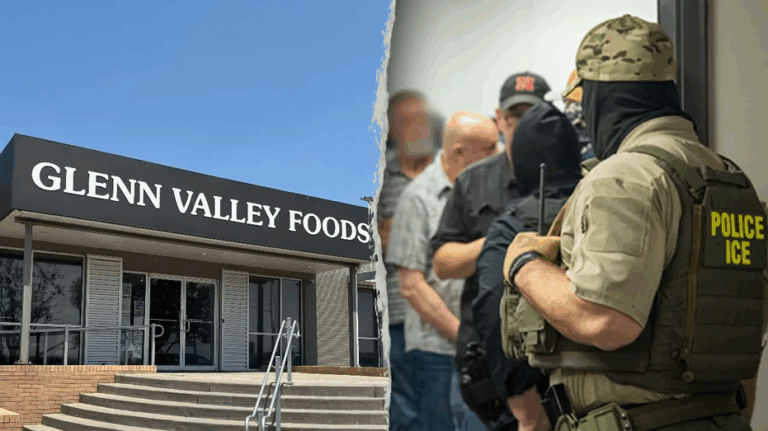 Massive identity theft scheme led by illegal immigrants uncovered after raid at meatpacking plant