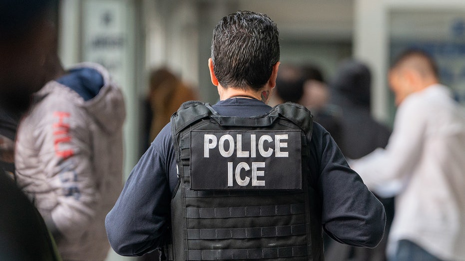 Chicago suspends online application website that allowed illegal immigrants to obtain IDs after ICE subpoena