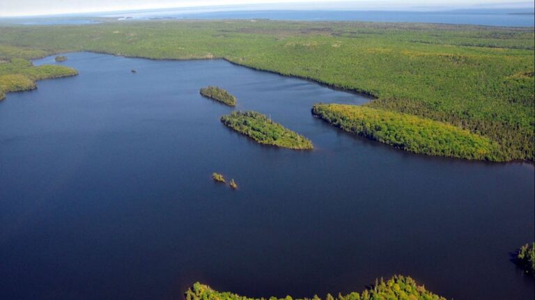 2 people camping in Michigan on remote wilderness island are found dead
