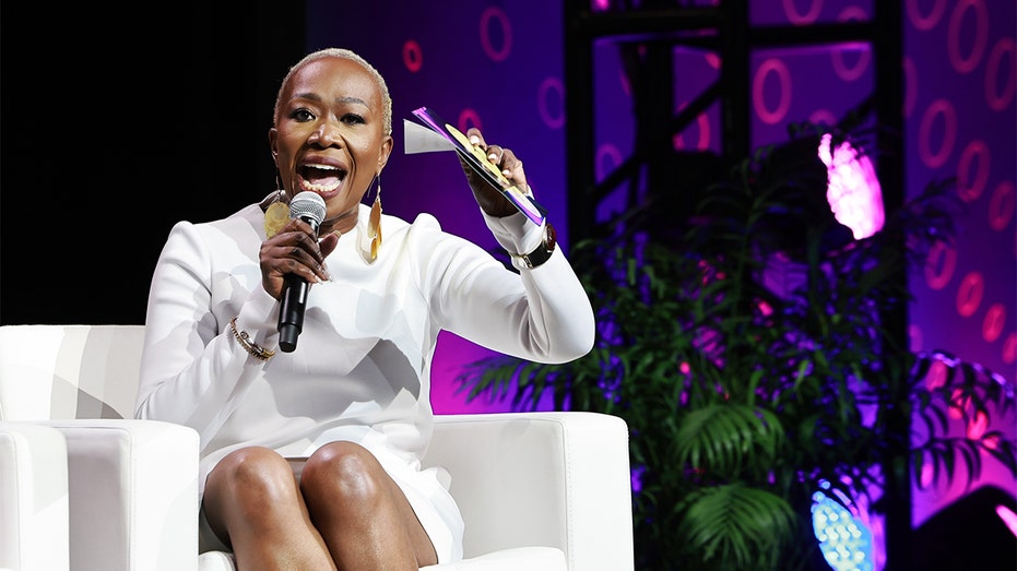 Ex-MSNBC host Joy Reid clashes with CNN panel as she defends Iran