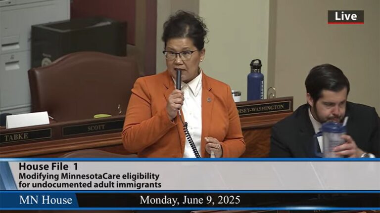 Minnesota state representative admits she is in the US illegally during legislative debate