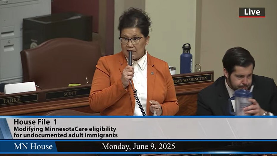 Minnesota state representative admits she is in the US illegally during legislative debate