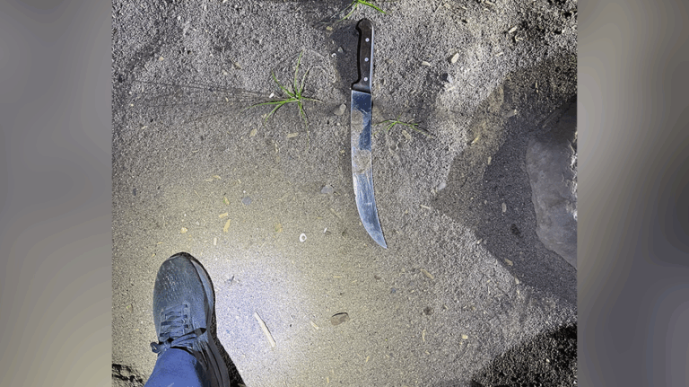 Multiple arrests after violent mob attacks Portland ICE facility with fireworks and knives