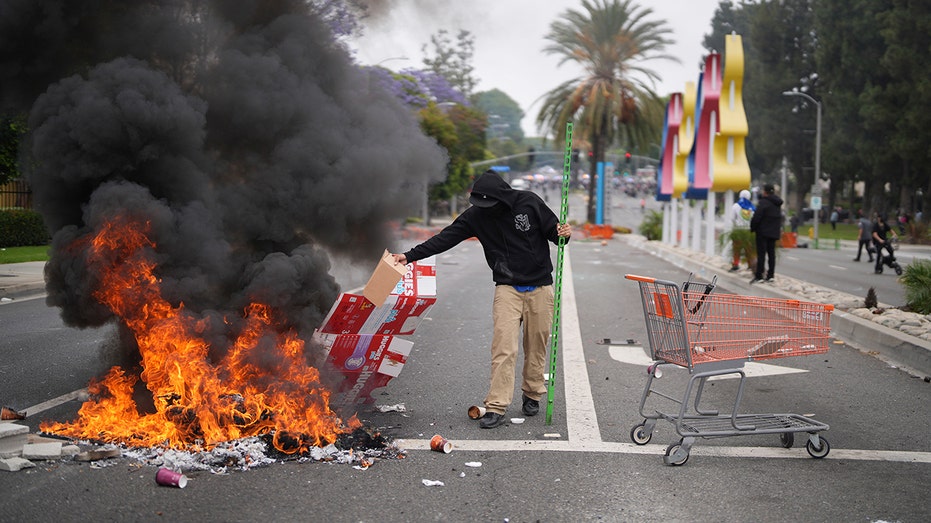 Non-citizen LA rioters could be deported under new House bill