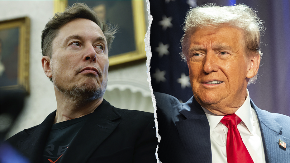 DOGE will go on: Hill pork hawk says rooting out government waste will continue after Elon