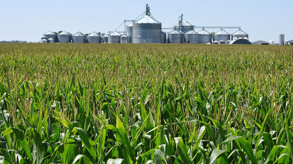 Chinese 'agroterrorism' could threaten US 'survival as a nation,' expert warns
