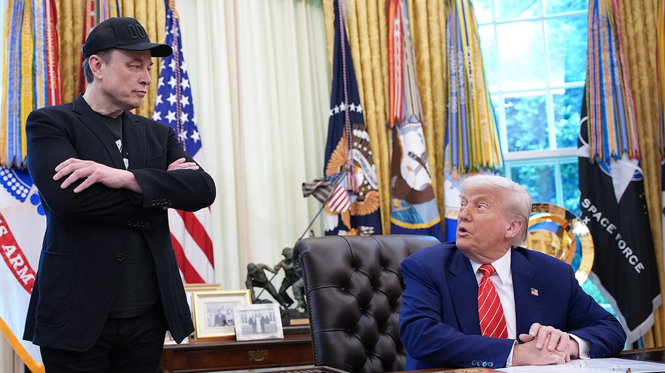 Elon Musk's former friend warns ex-DOGE head will do 'everything' to damage Trump