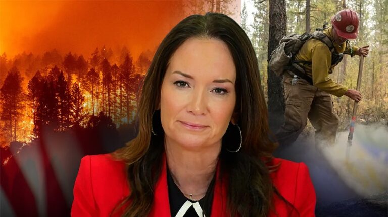 As US braces for ‘significant' wildfires, Trump's agriculture secretary addresses Forest Service departures