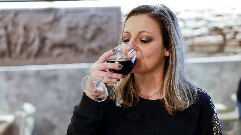 Woman drinking wine teaches pushy mother a lesson after family tries to intervene