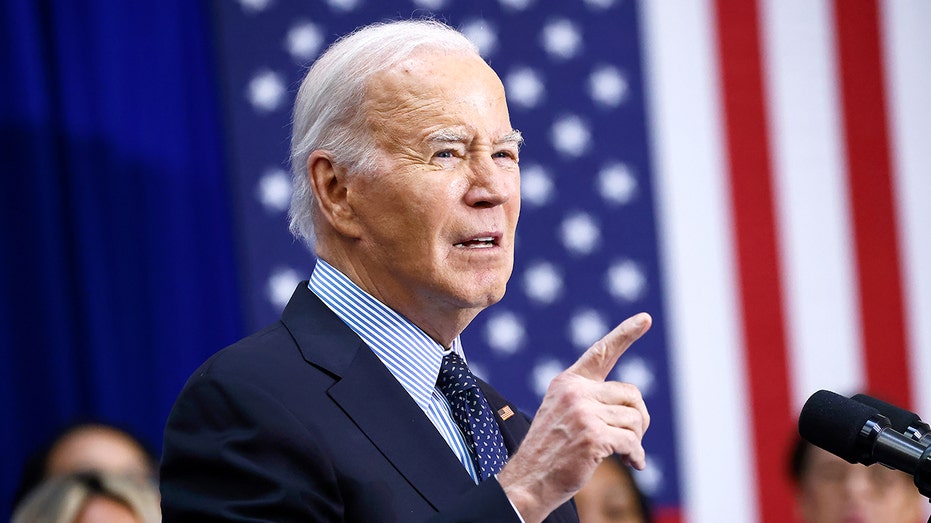 Ex-DNC insider reveals 'puppet masters' who ran the Biden White House