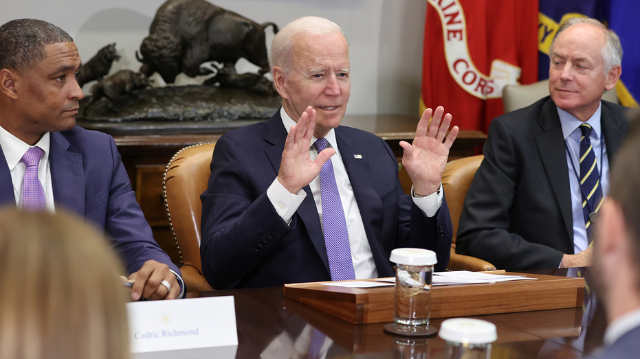 Biden 'Politburo' member Steve Ricchetti appears before House investigators in Comer cover-up probe