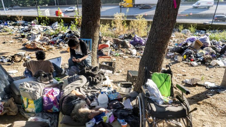 Leftist lawmakers want to make homeless encampments a nationwide crisis
