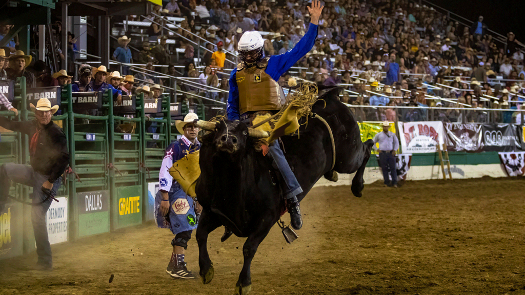 Fox Nation saddles up for live sports with a groundbreaking new PBR partnership
